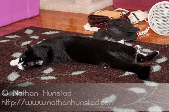 ???? all stretched out